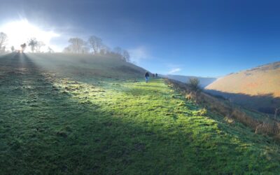 South Downs National Park Authority Success